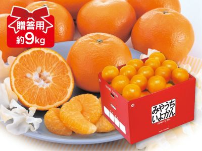 露地せとか約5kg-贈答用 | のま果樹園