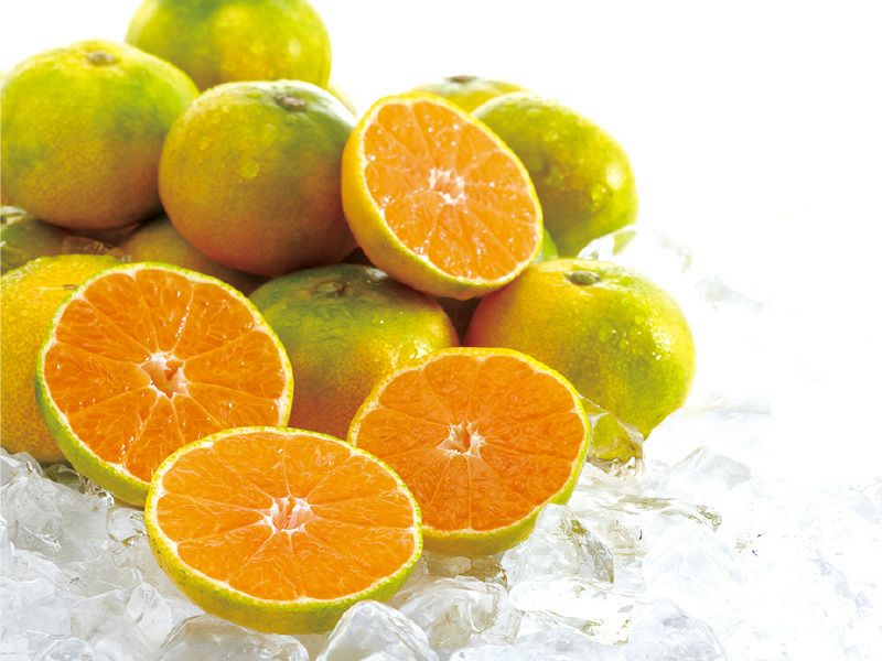 極早生みかん約3kg-小粒っ子 | のま果樹園