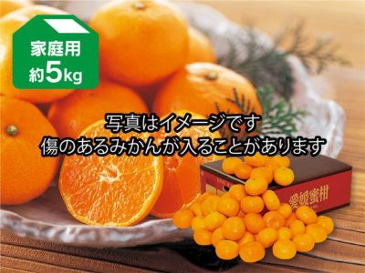 愛媛みかん5kg-家庭用 | のま果樹園