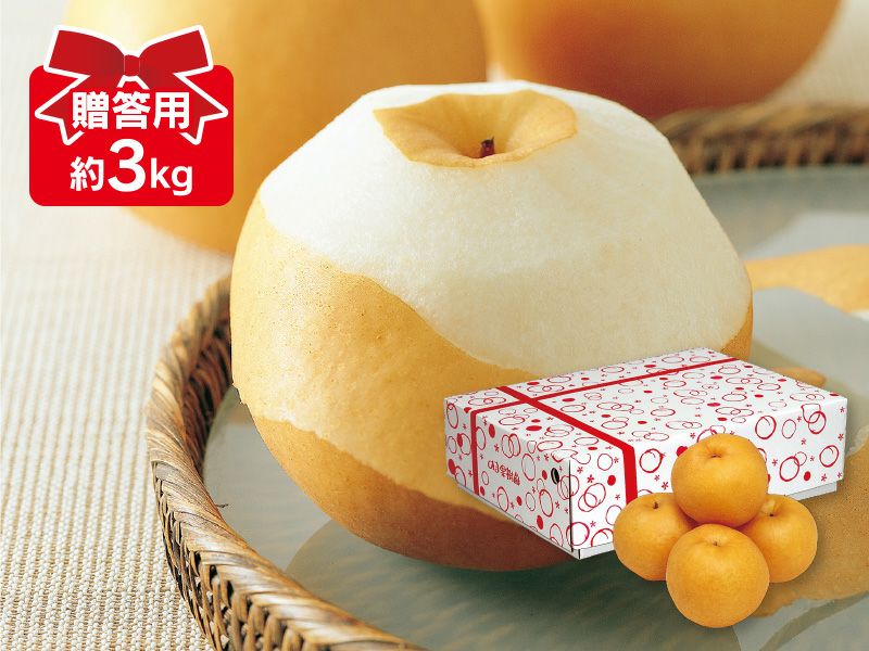 000000000548-04-l.jpg?t=