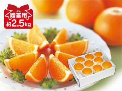 清見タンゴール約2.5kg-贈答用