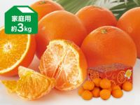 柑橘系の香りが最高！ でーーーっかい　ハーブボール 9個 タイ直輸入 お試し価格 タカラ「焼酎ハイボール」＜愛媛産晩柑割り＞数量限定発売