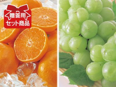 しまなみデコタンゴールジュース（12本入） | のま果樹園