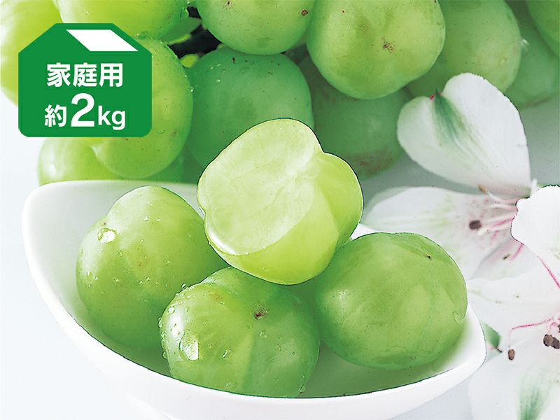 【メール便送料無料対応可】 000000000580-02-l.jpg?t= その他