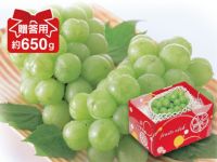 ぶどう10枚 楽天市場】敬老の日 ギフト 果樹 プレゼント ぶどう シャイン