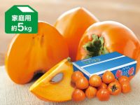 富士柿約5kg-家庭用 | のま果樹園