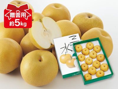 梨　豊水　成木 豊水 5kg（10〜14個入・販売予定数1,200箱） | かまたんのふるさと梨