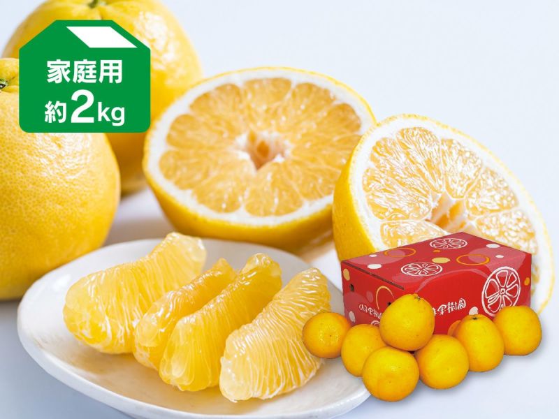 木成り河内晩柑約2kg家庭用 | のま果樹園