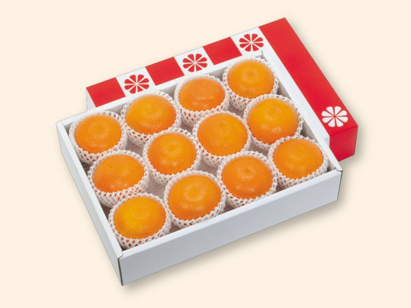 人気産地がきたーー‼️数量限定‼️濃厚シール露地せとか5kg6300円31 000000000634-04-s.jpg?t=