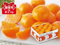 みかん7個 楽天市場】【 2023/6/20〜7/31お届け】 唐津温室みかん 2.2Kg