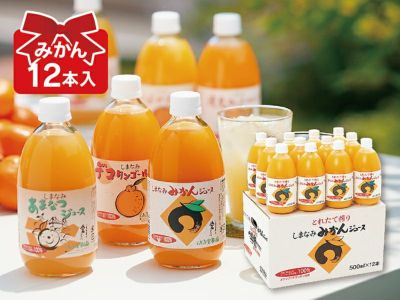 専用【柑橘ジュース12本】 | thelofttown.com