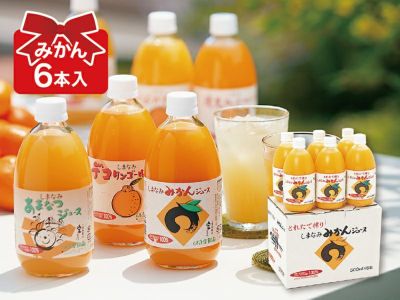 【Michi】みかんジュース1000ｍｌ×12本　　【２箱縛りでの発送】