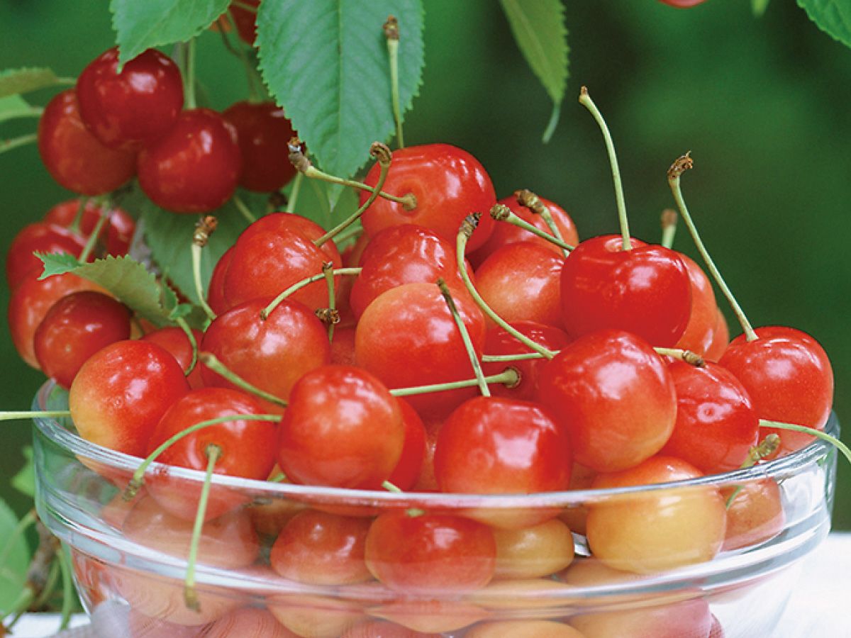 000000000722-01-l.jpg?t=