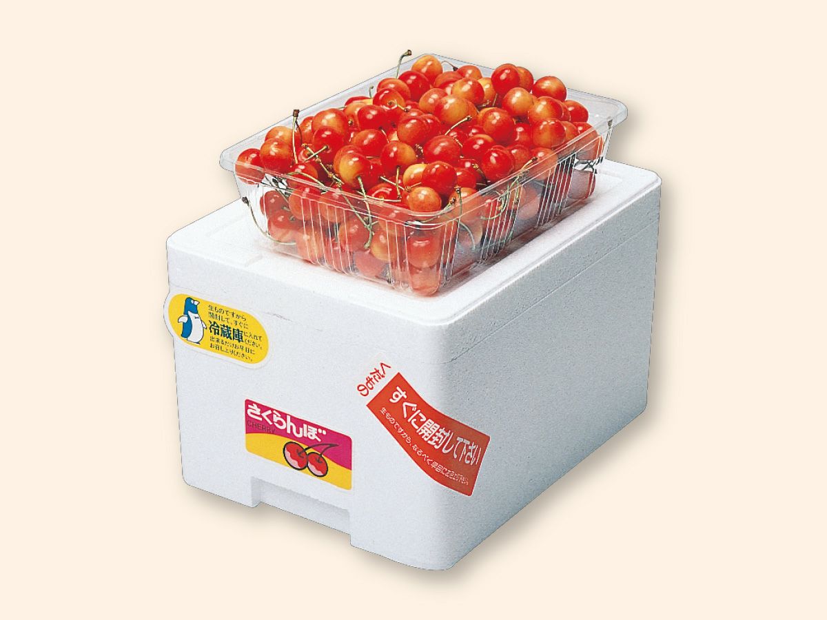 さくらんぼ800g-家庭用 | のま果樹園