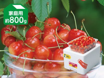 さくらんぼ さくらんぼ｜天の童｜JAてんどうフーズ通信販売