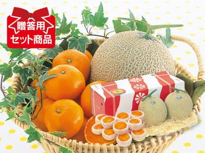 愛媛みかん2kg-家庭用 | のま果樹園
