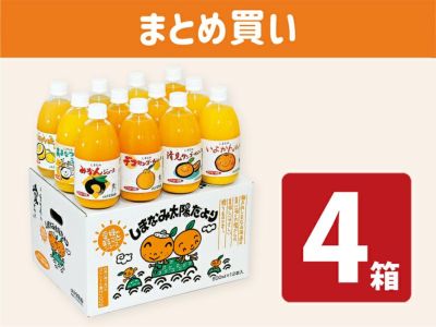 愛媛県産果汁１００％清見タンゴールストレートジュース500㎜×１２本入り