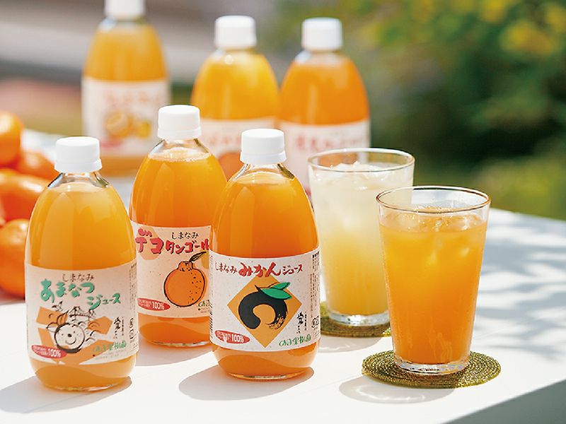 地元道の駅で人気！！愛媛県産果汁１００％えひめみかんストレートジュース５００mlｘ24本入り⑲