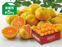 000000000893-04-s.jpg?t=