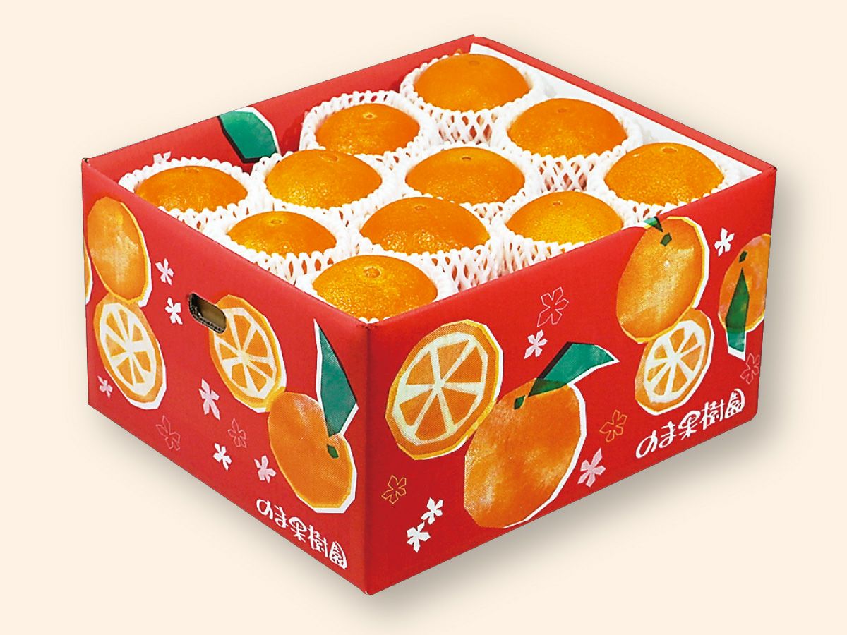 媛まどんな Dセット（18～25個前後）贈答用 | のま果樹園