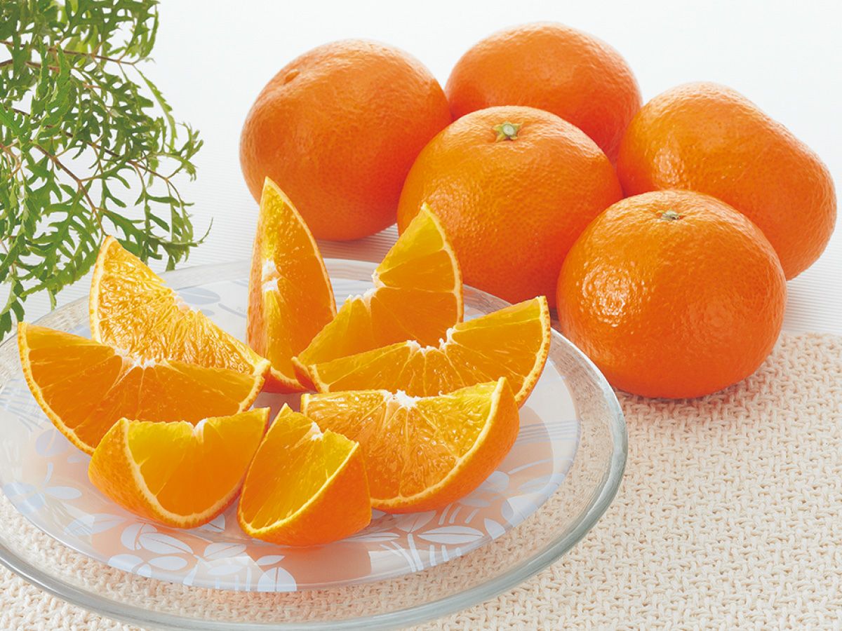 媛まどんな約7kg-家庭用