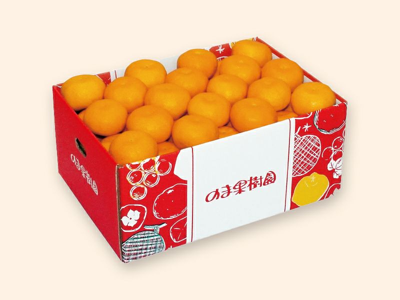 愛媛みかん5kg-贈答用 | のま果樹園 愛媛みかん5kg-贈答用 | のま果樹園