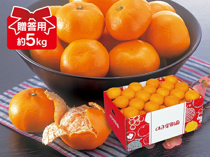 愛媛蜜柑 真穴みかん＜貴賓＞特級(24個入)＜F44-2＞_ みかん 蜜柑 ミカン 愛媛