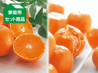 露地せとか約4kg-家庭用 | のま果樹園