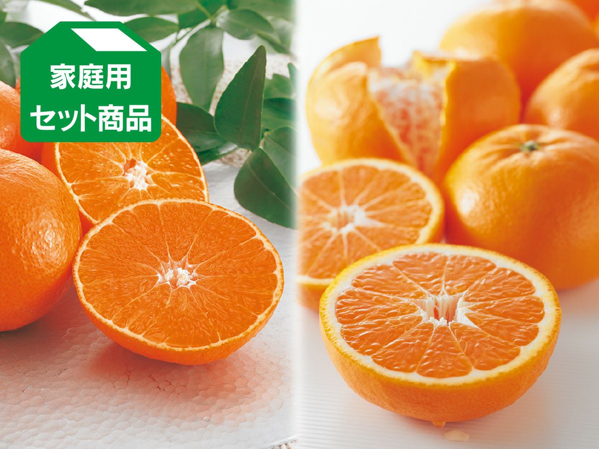 SUIGUNマドンナ LL玉 6Kg】とろ～り！ゼリー感覚 激美味！ 【公式通販】