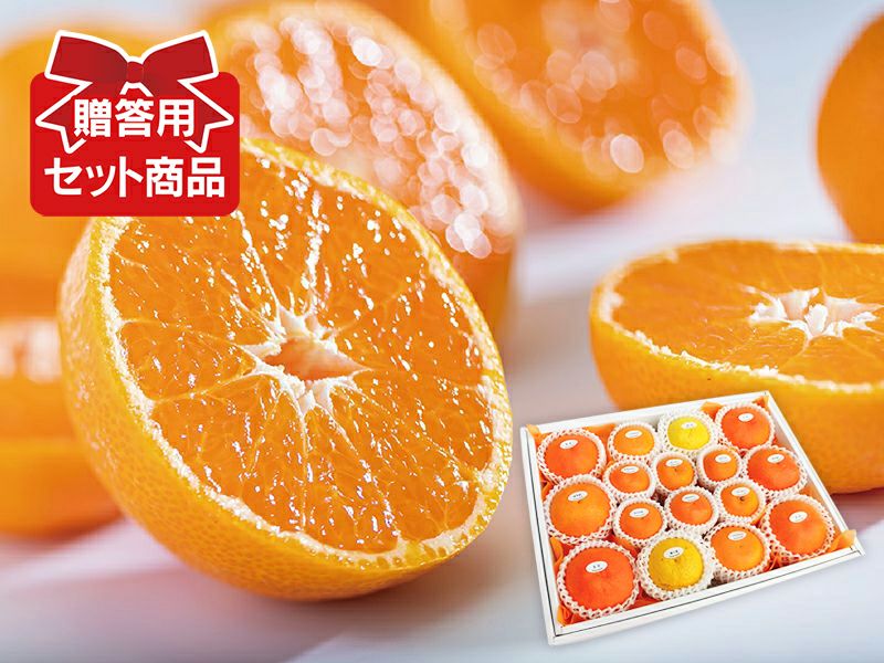 柑橘詰め合わせセット | のま果樹園