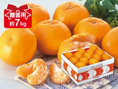 ポンカンオレンジ約9kg-贈答用 | のま果樹園