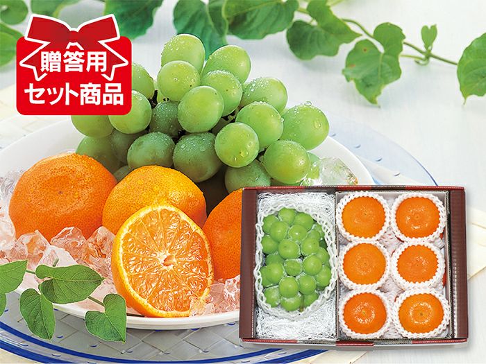 シャインマスカット約1.3kg(2～4房) 贈答用 | のま果樹園