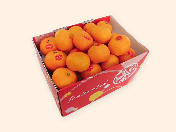 真穴みかんAセット-家庭用 約2kg | のま果樹園