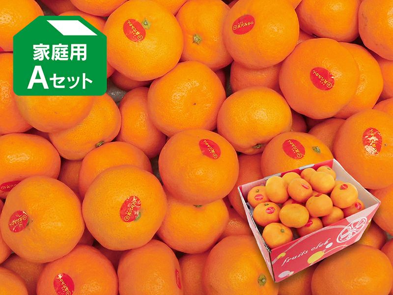 真穴みかん | のま果樹園