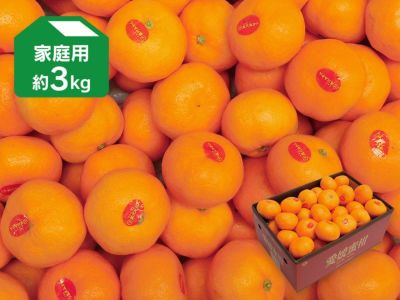 真穴みかんＣセット-家庭用 約10kg | のま果樹園