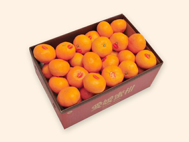 真穴みかんBセット-家庭用 約3kg | のま果樹園