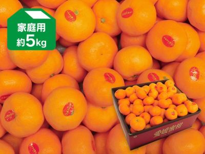 真穴みかんＢセット-家庭用 約5kg | のま果樹園