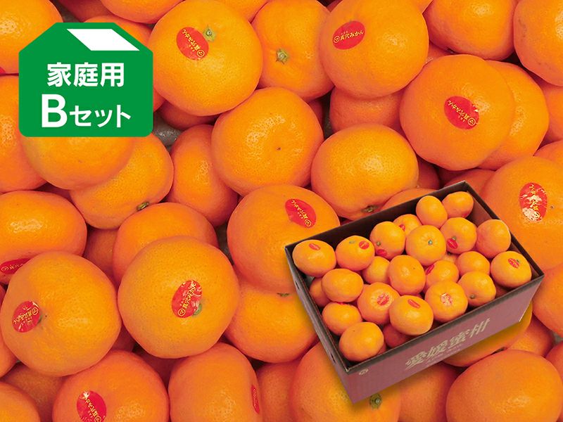 真穴みかんBセット-家庭用 約3kg | のま果樹園