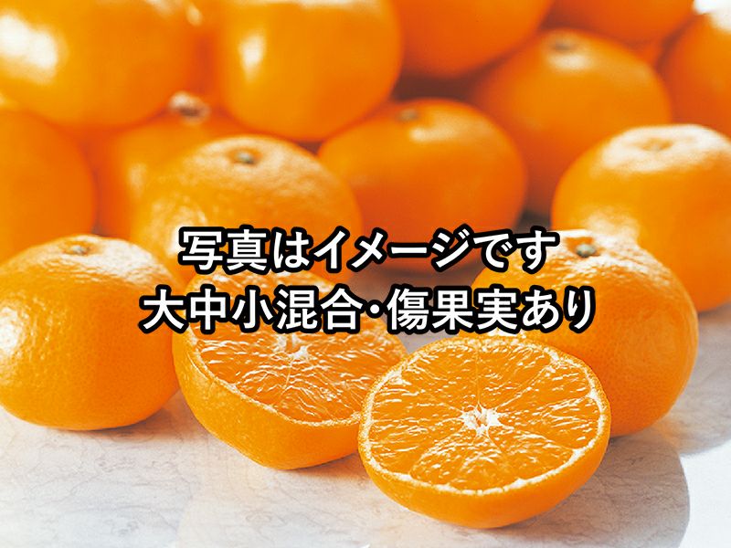ワケあり愛媛みかん約5kg | のま果樹園