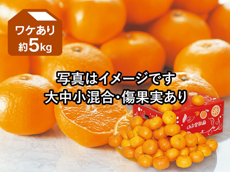 人気商品 あいか 5kg M〜2Lサイズ 愛媛県産柑橘 約5kg ※常温｜お