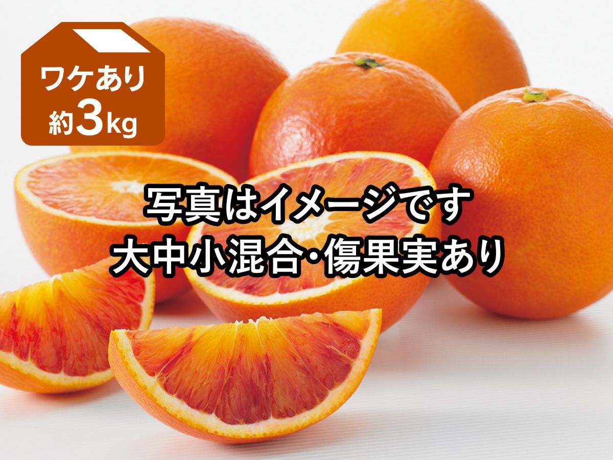 愛媛産「ワケありブラッドオレンジ」約3kg | のま果樹園