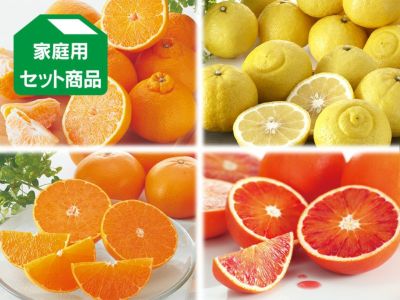 3月の柑橘4種味比べ「満足」セット