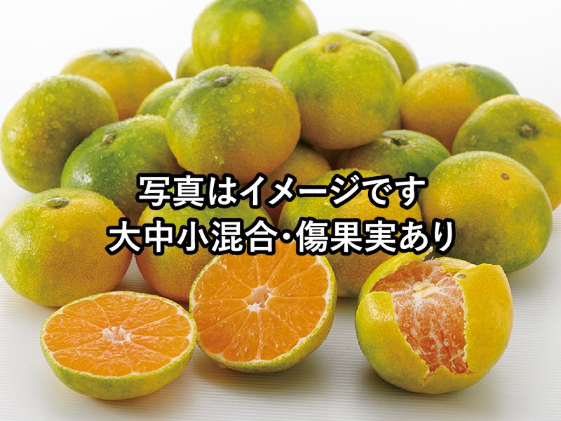 みかん様 ご確認用ページ 小原紅早生みかん Sサイズ 1箱 | しなじみかん園