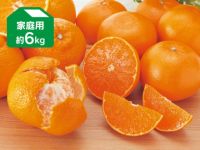 デコタンゴール＆せとか-家庭用6kg(各3kg) | のま果樹園