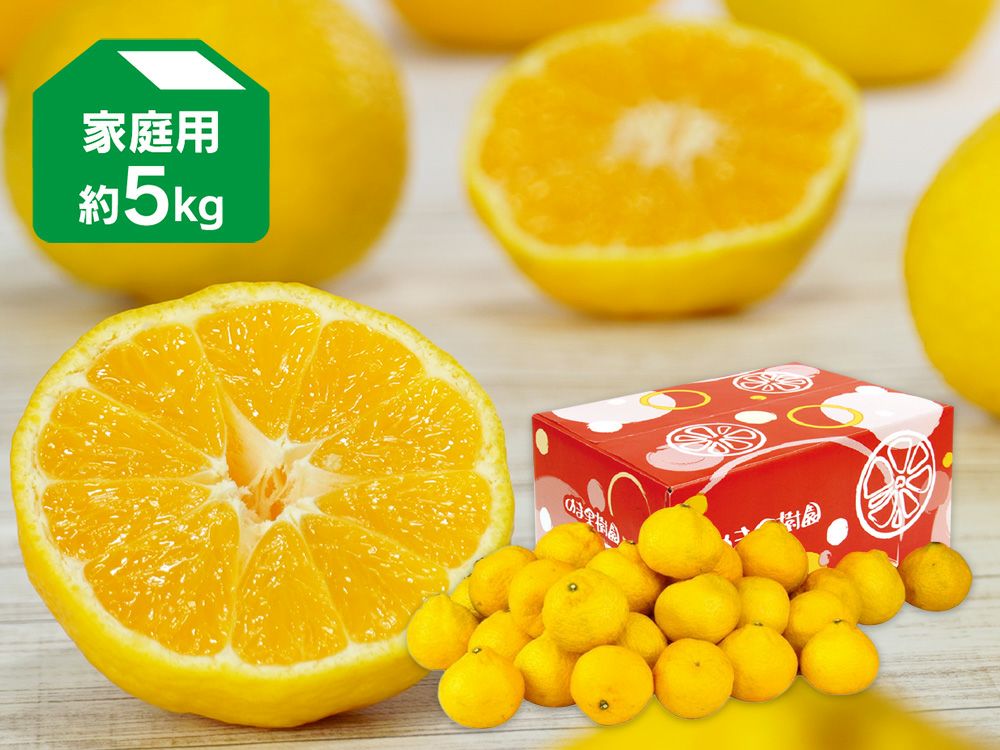 媛媛小春　9kg　愛媛県松山市産 媛小春（ひめこはる） 約5kg | のま果樹園