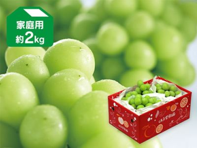 甘平 約2.5kg-贈答用 | のま果樹園