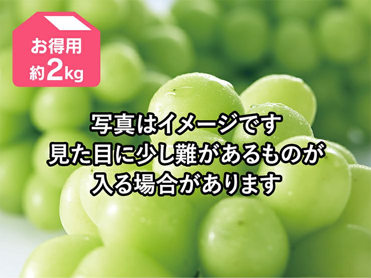 シャインマスカット | のま果樹園