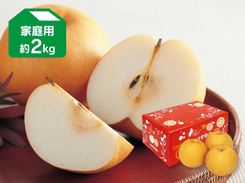 新高梨 約2kg 家庭用 | のま果樹園