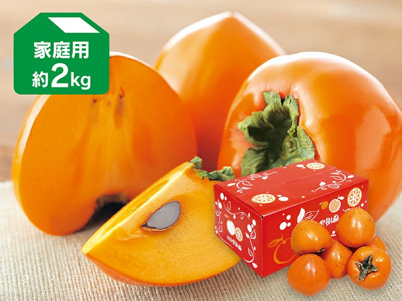正式的 000000001637-04-l.jpg?t= 果物