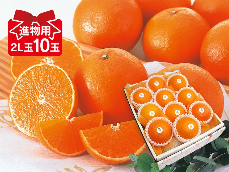 未使用・袖詰め済 Cantarelli サイズ52 カンタレリ オレンジベージュ 000000001667-03-l.jpg?t=